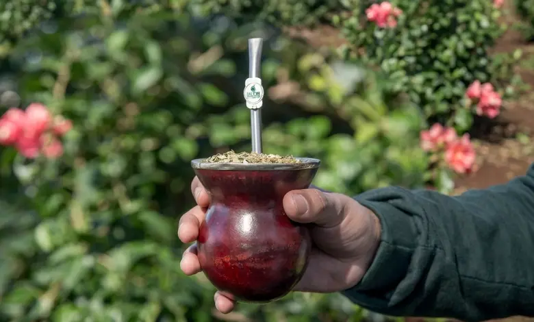Mano sosteniendo un mate lleno de yerba con bombilla, en un jardín con flores