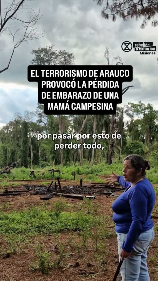Anabela, mamá campesina de San Pedro, Misiones, frente a los escombros calcinados de su casa destruida por Arauco y la policía