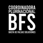 Seguí a Basta de Falsas Soluciones